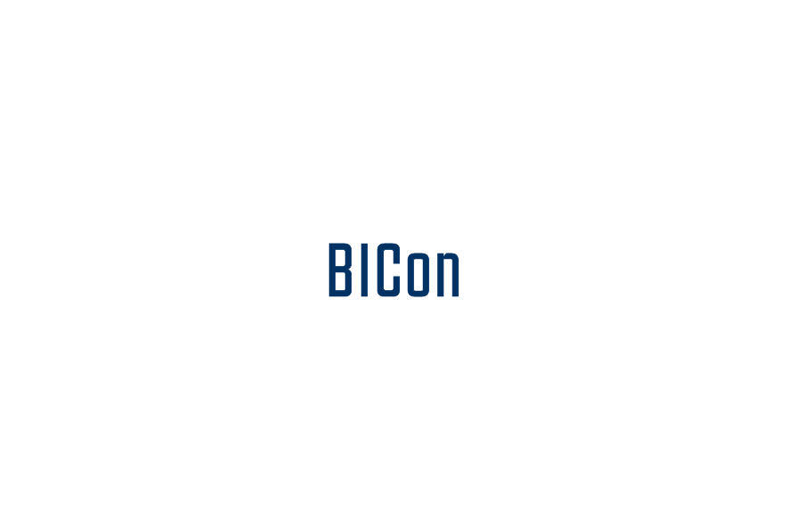 BICon Business & IT Consulting for the Financial Industry